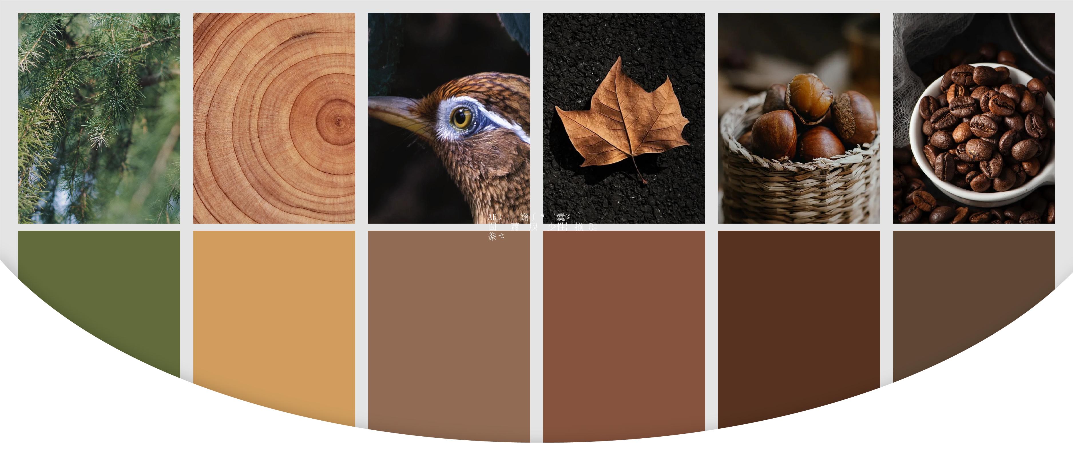 ARD || 极简潮者 高端美学 · 秋派