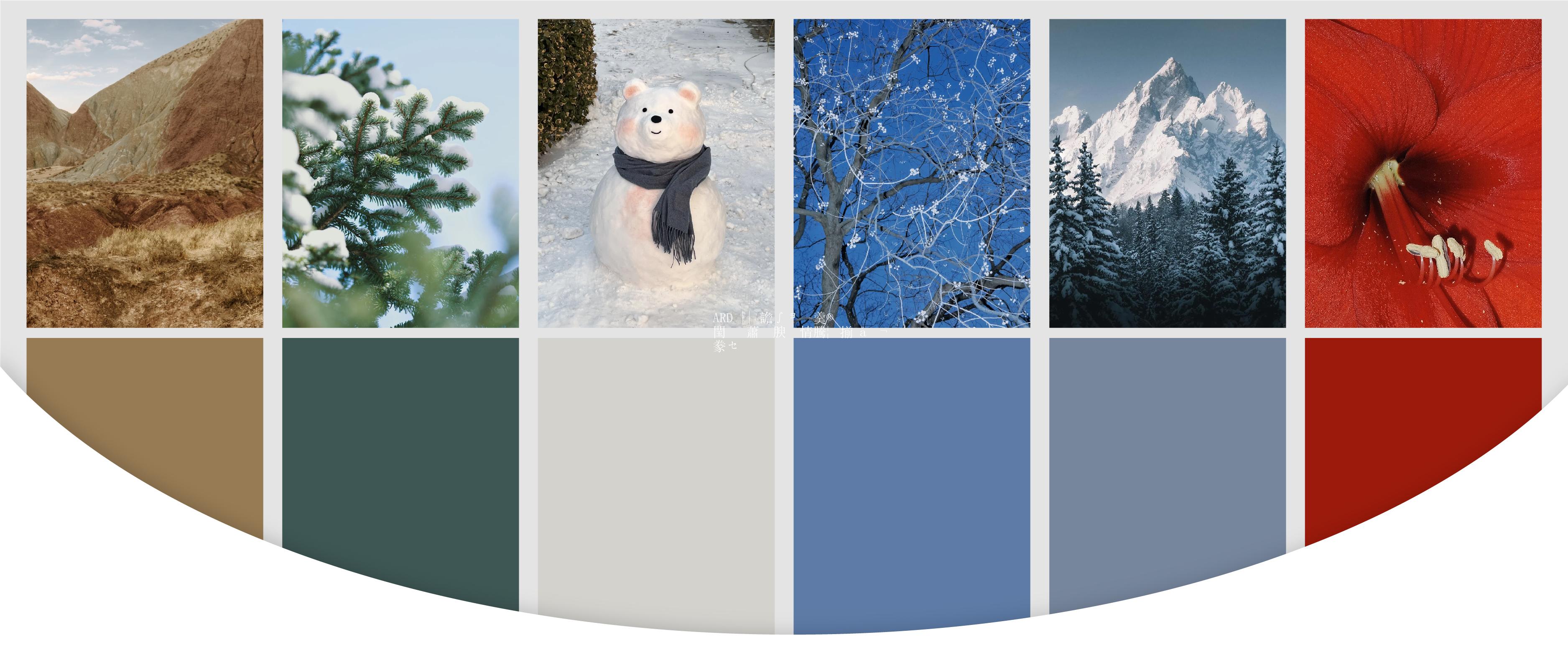 ARD || 极简潮者 高端美学 · 冬派